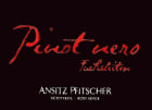 Ansitz Pfitscher Sudtirol Alto Adige Fuchsleiten Pinot Nero 2015 Front Label