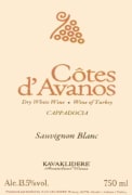 Cotes d'Avanos Cotes d'Avanos Sauvignon Blanc 2011 Front Label
