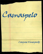 Cayuse Camaspelo 2019  Front Label