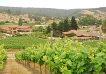 Casa Marin Winery Image