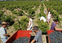 Domaine La Milliere Winery Image