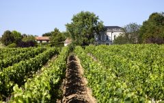 Chateau Tessendey Winery Image