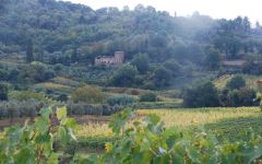 Cortonesi Cortonesi Winery Winery Image