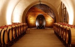 Hamel Family Wines Wine Cave Winery Image