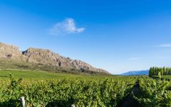 Pyros Wines Pyros Andes Winery Image