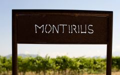 Montirius  Winery Image