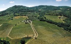 Pertimali Livio Sassetti The Pertimali Vineyards Winery Image