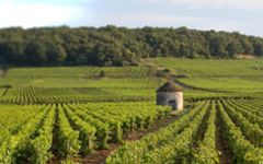 Domaine Doudet-Naudin Winery Image