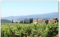 Dalla Valle Winery Image
