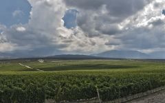Pyros Wines Valle de Pederna Winery Image