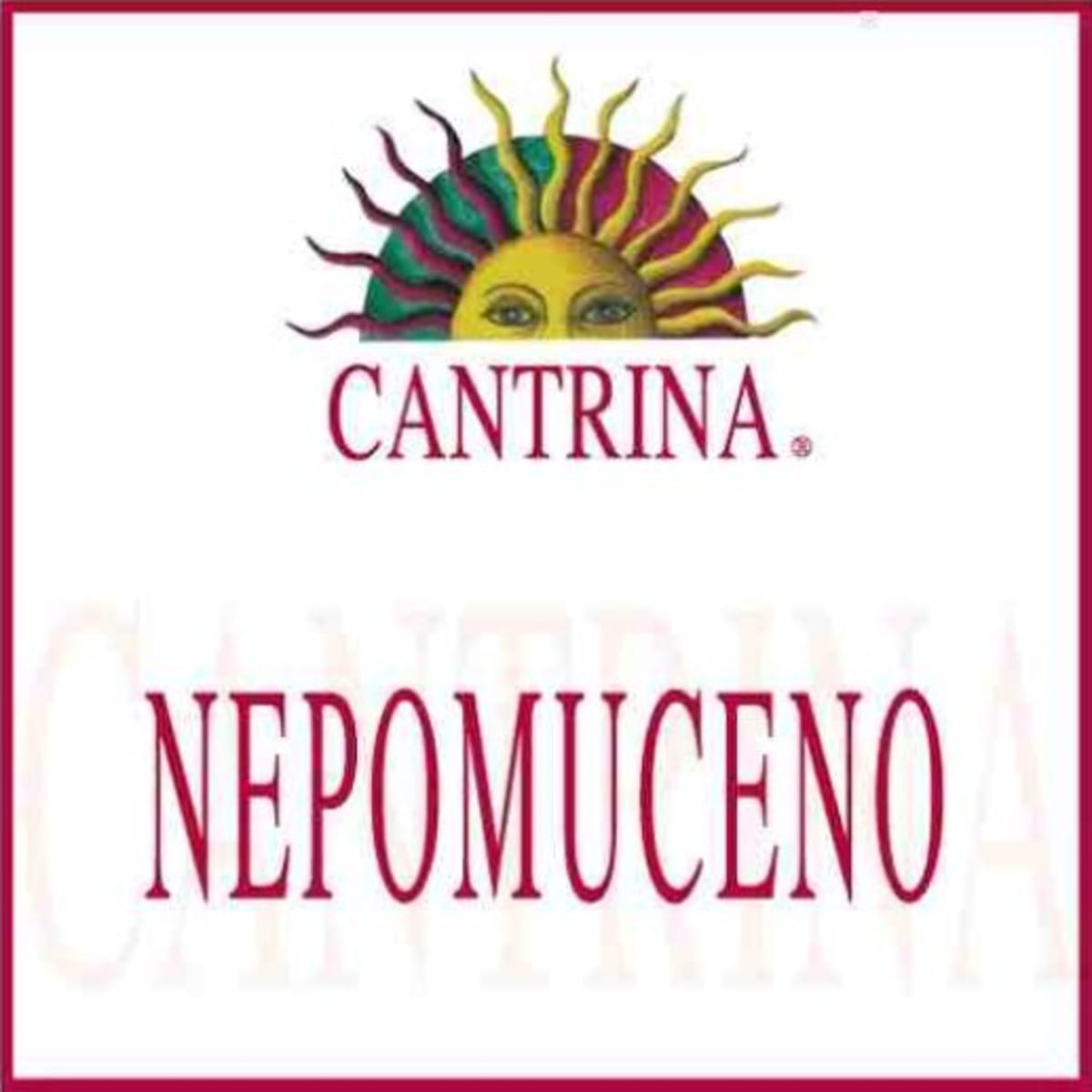 Azienda Agricola Cantrina Benaco Bresciano Nepomuceno Rosso 2006 Front Label