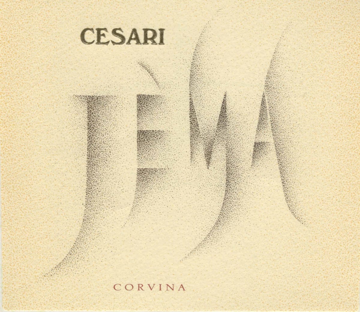 Gerardo Cesari S.p.A. Veronese Jema Corvina 2009 Front Label