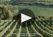 Casa Valduga About Casa Valduga Winery Winery Video