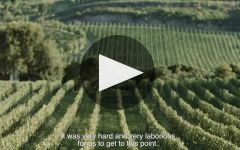 Casa Valduga About Casa Valduga Winery Winery Video