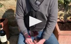Cortonesi Winery Video