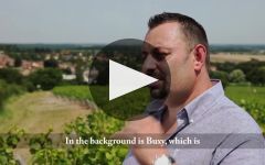 Laurent Cognard Winery Video